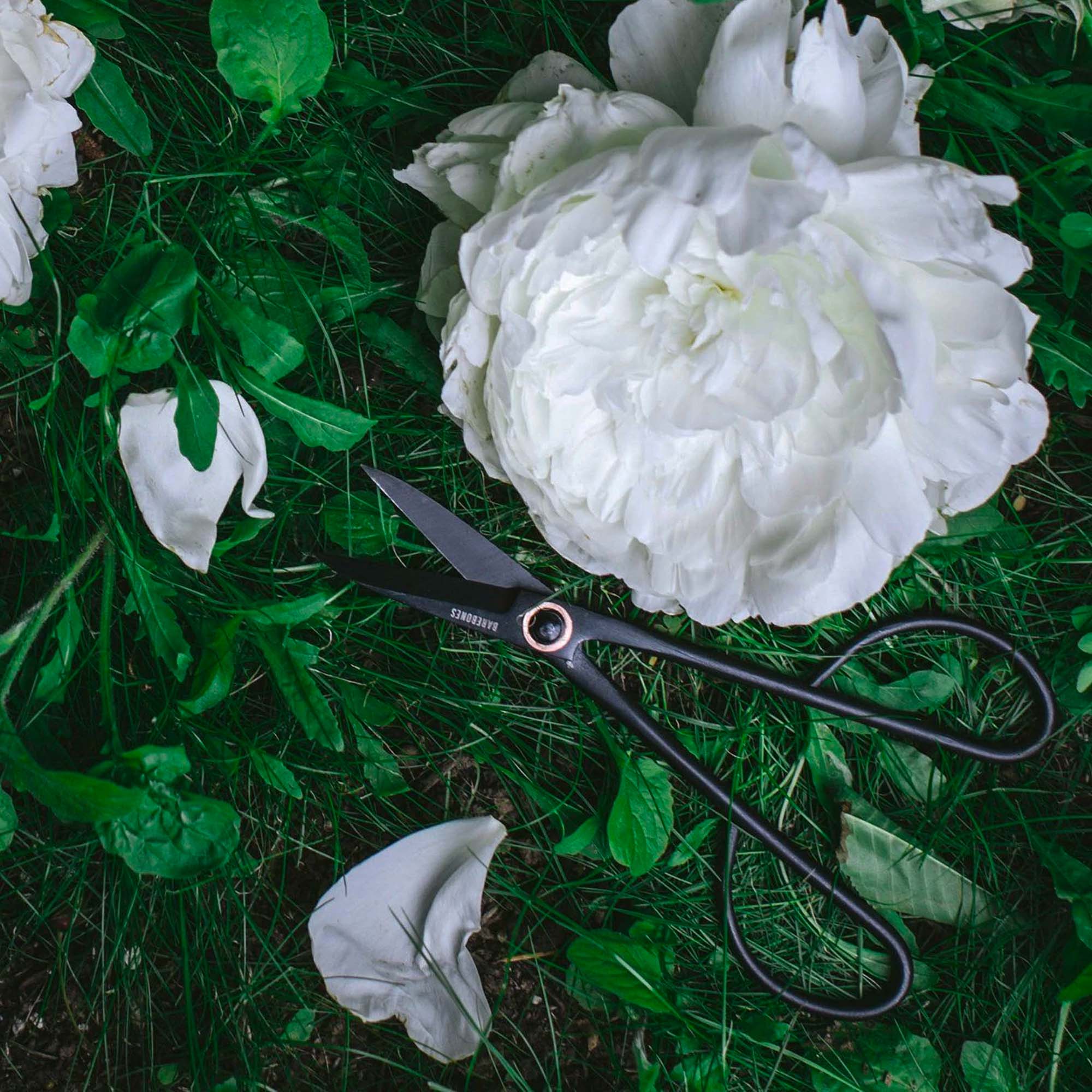 artisan-shears-04-04-AS06 Artisan Pruning & Trimming Shears