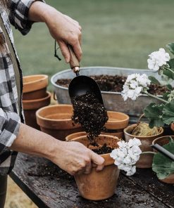 Backyard Gardener Set
