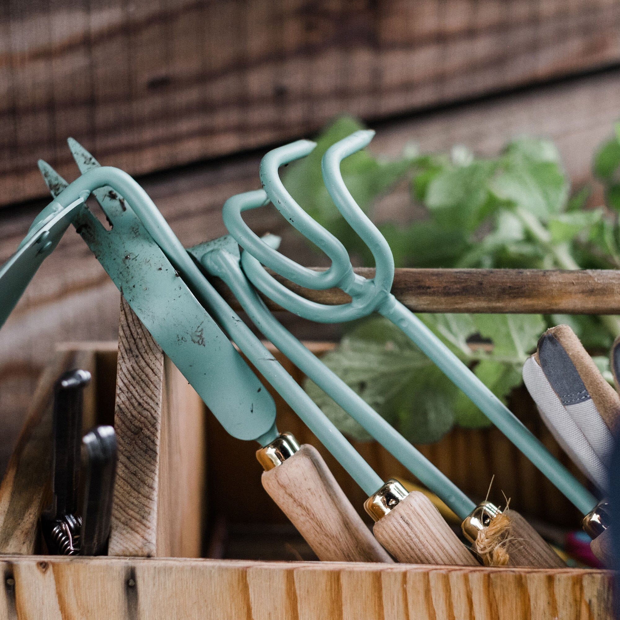 cultivator-13-13-GDN-676_Cultivator_AshMint_PDP_06 Cultivator