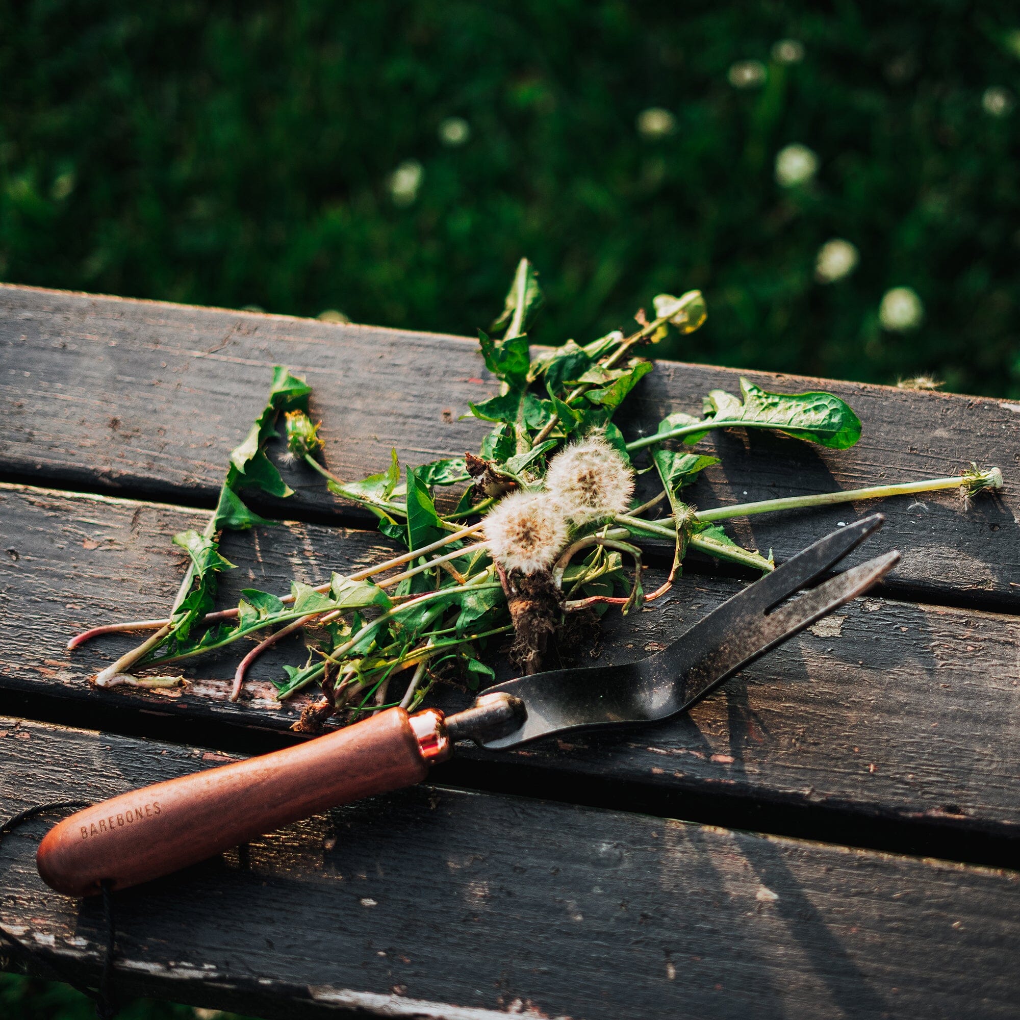dandelion-weeding-fork-03-03-GDN-093_DandelionWeedingFork_WalnutBlack_PDP_06 Dandelion Weeding Fork