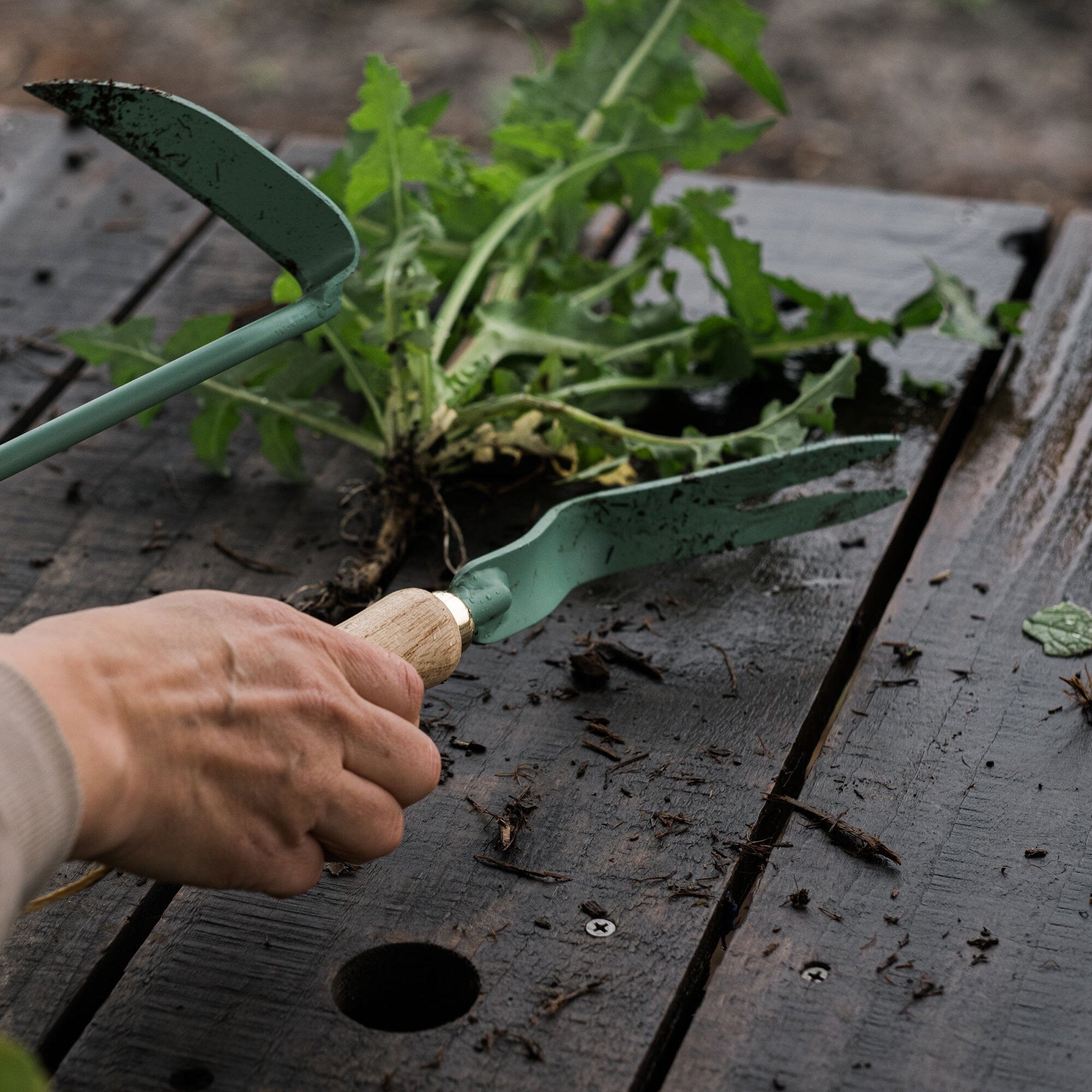 dandelion-weeding-fork-13-13-GDN-679_DandelionWeedingFork_AshMint_PDP_04 Dandelion Weeding Fork