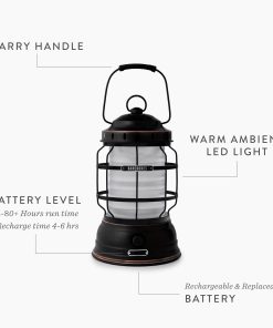 Forest Lantern