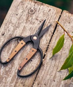 Garden Scissors