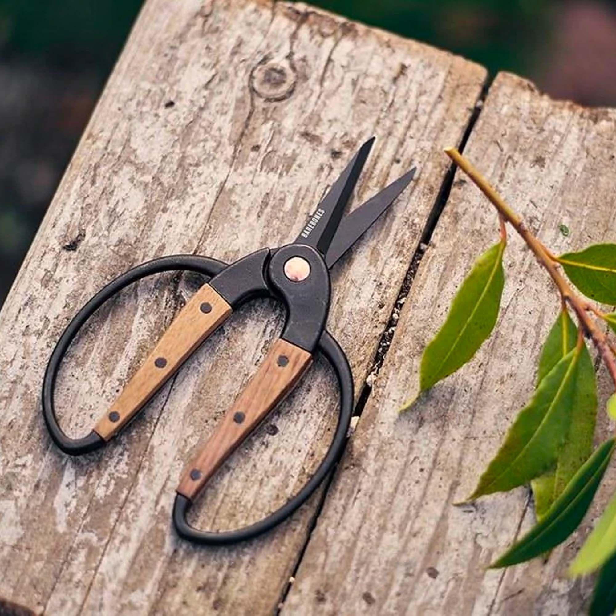 garden-scissors-walnut-11-11-GS09 Garden Scissors