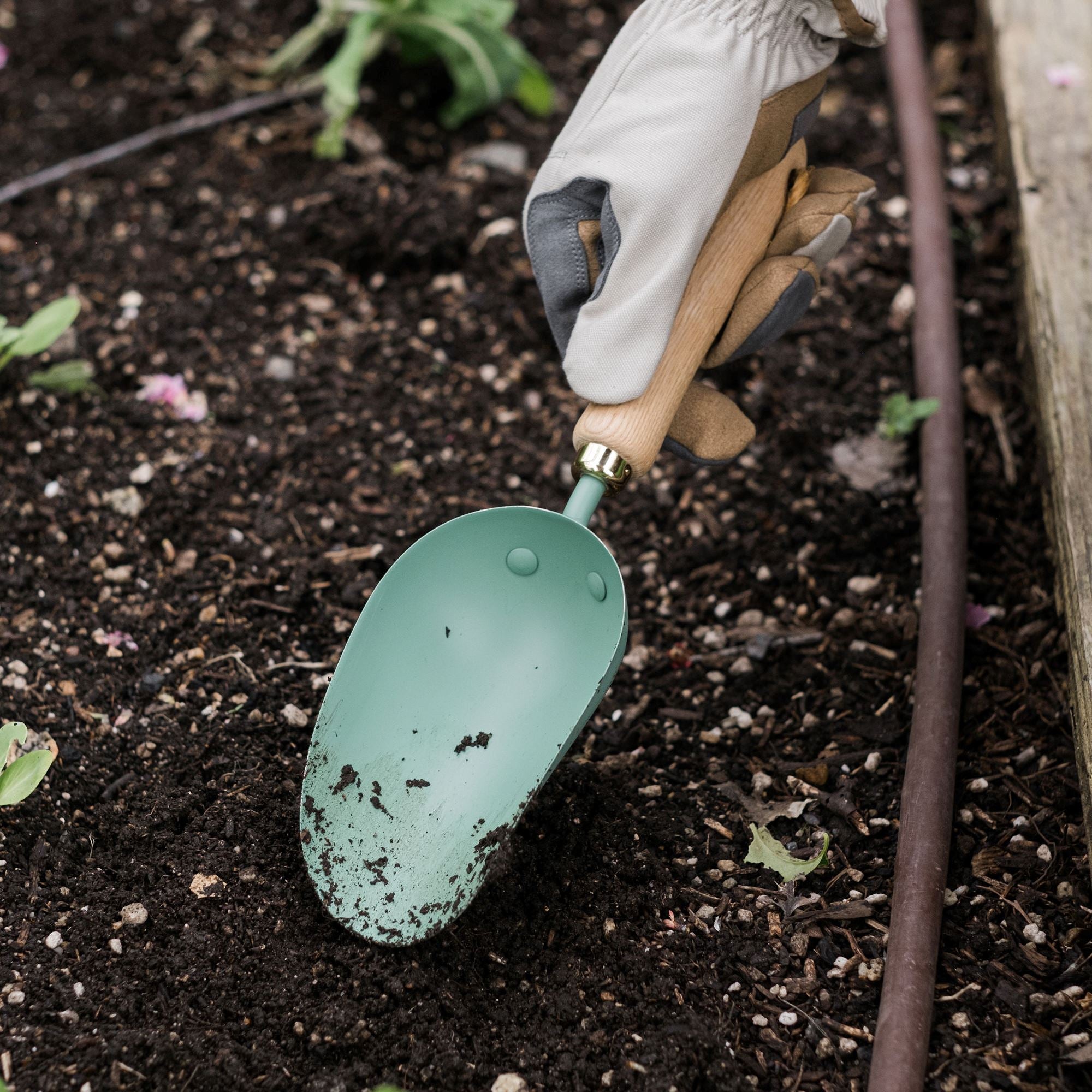 garden-scoop-11-11-GDN-680_GardenScoop_AshMint_PDP_04 Garden Scoop